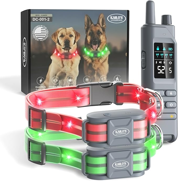 2-in-1 Dog Shock Collar with Remote & 360° LED Safety Lights – 4200FT Range Dog Training Collar, IPX7 Waterproof, 4 Training Modes, Rechargeable E-Collar for Small Medium & Large Dogs (10-120lbs)