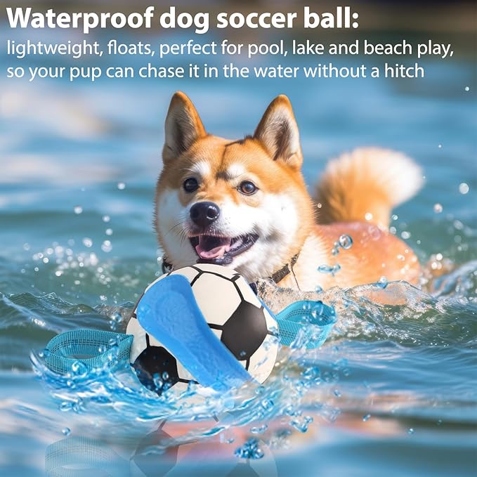 Dog Toys Balls, Interactive Dog Soccer Ball with Pull Straps, Bouncing Water Toy, Durable Training Toy for Small Medium Pets, Puppy Toy for Indoor Outdoor Play