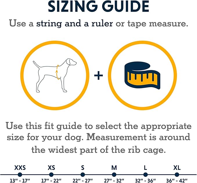 Ruffwear, Lumenglow High-Vis Dog Jacket, High-Visibility Protection for Day and Night, Blaze Orange, XX-Small