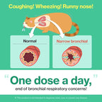 Doctor By Cat Breath Bronchial Supplements Cat Sneezing Treatment Asthma Cold Cough Nose Relief Respiratory&Immune Support with TF-343-30 lickable Formula Individually Packaged, Chicken (1 Pack)