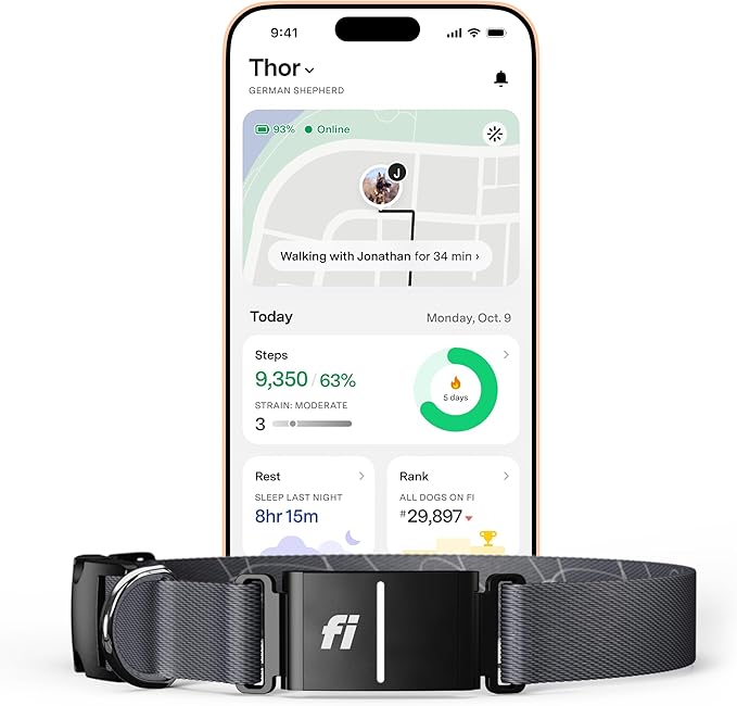 Fi Series 3+ Smart Dog Collar - GPS Dog Tracker and Activity & Fitness Monitor, Waterproof, LED Light, Escape Alerts, Nationwide Coverage [Free 6 Month Membership] (Gray, Small)