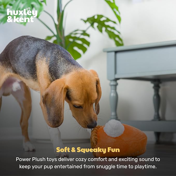 Huxley & Kent Funny Dog Toy w/Squeaker – Fall Power Plush Squeaky Dog Toys for Small, Medium & Large Dogs – Soft Stuffed Animal for Indoor Play & Fetch - Punkin Pie, Small