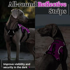 rabbitgoo Escape Proof Dog Harness, Soft Padded Full Body Pet Harness, Reflective Adjustable No Pull Vest with Lift Handle and Leash Clip for Large Dogs Walking Hiking Training, M, Purple