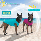 2 Pack Dog Shirts, Ice Pet Vest Dog Clothes for Instant Cooling, Ultra Lightweight Breathable Sleeveless T-Shirts for Large Dogs, Purple+Blue (M)