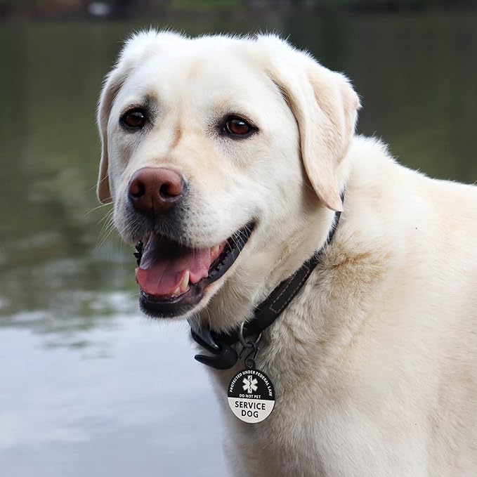 MYLUCKYTAG Service Dog ID, QR Code Stainless Steel Tag, Engraved, Durable, Digital Pet ID, Online Profile, Location Alert Email