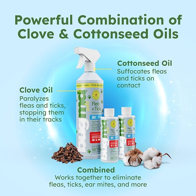 BugMD Flea and Tick Concentrate (3.7 oz, 2 Pack) – Essential Oil Formula for Dogs, Controls Fleas, Ticks & Mites, Safe for Pet Beds, Kennels & Home Use