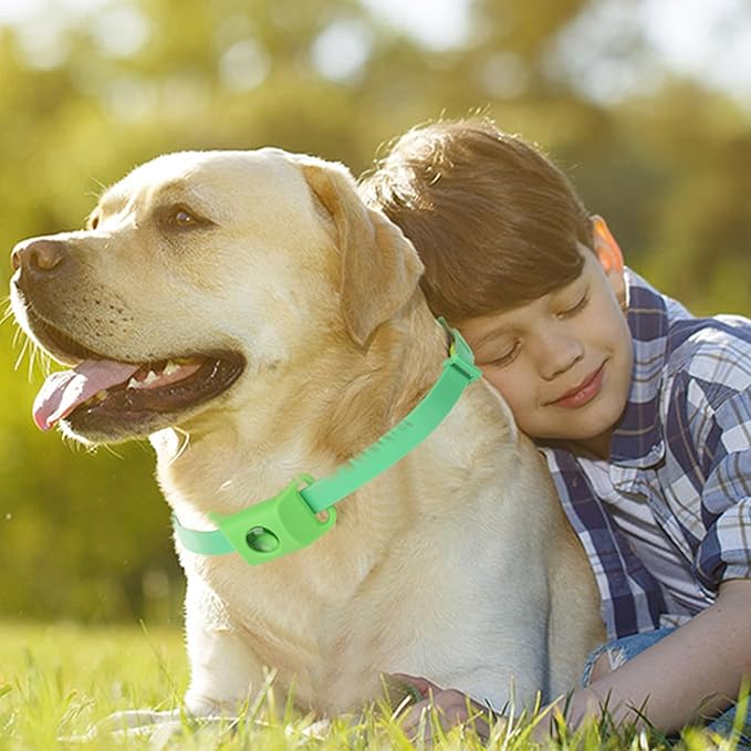 Natural Flea and Tick Collar + Pendant for Dogs – Waterproof, Adjustable Fit, 8+ Months Protection, 3 Refills Included