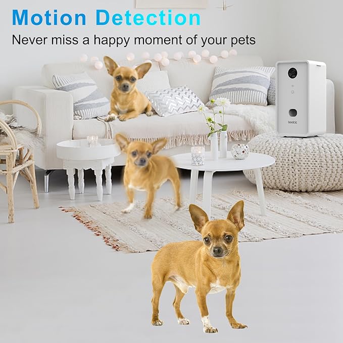 Iseebiz Pet Camera Treat Dispenser, 2.4G & 5G WiFi Dog Camera with 2 Way Audio Talk Listen, 1080P Night Vision Cat Dog Cam, App Control Tossing, Multi Devices Login, Compatible with Alexa, Upgraded