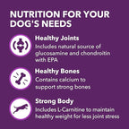 IAMS Advanced Health Mobility Support Chicken and Whole Grain Recipe Adult Dry Dog Food, 13.5 lb. Bag