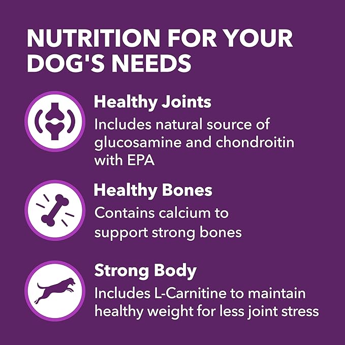 IAMS Advanced Health Mobility Support Chicken and Whole Grain Recipe Adult Dry Dog Food, 6 lb. Bag