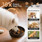 8.25'' Ceramic Slow Feeder Dog Bowls - Petal Shape Modern Dog Food Dish for Medium and Large Breeds, Puzzle Maze Bowl to Slow Down Eating, Anti-Gulping, Dishwasher & Microwave Safe, Black