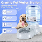 Flexzion Automatic Pet Feeder & Waterer Set of 2 Pack, Self Feeding Replenish Dog Cat Bowls, Gravity Food & Water Storage Container Fountain Jug Pet Supplies Plastic Skid Proof Rubber Feet (1 Gallon)