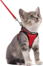 rabbitgoo Cat Harness and Leash Set for Walking Escape Proof, Adjustable Soft Kittens Vest with Reflective Strip for Cats, Comfortable Outdoor Vest, Red, S
