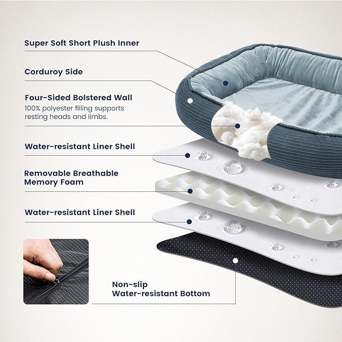 Miguel Cat Beds for Indoor Cats, Small Dog Bed Orthopedic, Memory Foam Pet Bed Washable Removable Cover, Calming Puppy Bed with Sides, Dog Couch Comfort Sofa, Egg Foam Support, Blue 20 inches