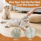 4 in 1 Pet Steam Brush for Shedding,Rechargeable cat brushes for indoor cats,Quiet Detangling Brush for Long Haired Cats and Dogs(Cream Color)