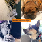 IVIA Dog Tag Clips / 2 Pack/Multiple Size 304 Stainless Steel Quick Clip with Rings/Easy Change Dog Cat ID Tag Holder for Small pet Collars and Harnesses.(2 Medium Silver)