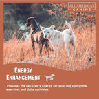 Bulk Dog Weight Gainer – High Calorie Dog Food Supplement & Protein Powder for Rapid Weight Gain, Mass, and Recovery – Appetite Stimulant – 230 Servings