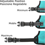 HEELE Dog Harness, No Pull Adjustable Padded Reflective Harness for Small Medium Large Dogs with Handle for Walking Training, Turquoise, XL