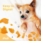 iPaw Turkey Chips Dog Treats for Puppy Training, All Natural Human Grade Dog Treat, US Sourced Raw Material, Hypoallergenic, Easy to Digest (Turkey Chips), 2 Packs