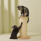 Cat Scratching Post, 23 Inches/58cm Large Cat Scratch Post for Adult Cats and Kittens, Nature Sisal,Wooden Base, Modern Cat Scratcher for Indoor Cats, Protect Your Furniture, Beige