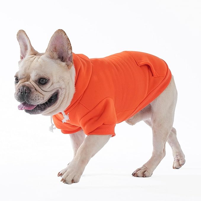 KOOLTAIL Basic Fall Dog Hoodie - Soft & Warm Dog Hoodie Sweater with Leash Hole and Pocket, Pet Winter Coat, Cold Weather Clothes Sweatshirt for Small Medium Large Dogs Puppy Cat Boys Girls,Orange XXL