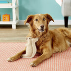 SPOT Dura-Fused Leather Squirrel Dog Toy – Real Leather & Jute Fabric, Double-Stitched & Durable, Soft Stuffed Squeaky Interactive Chew Toy for Moderate Chewers, Small & Medium Dogs, 8in