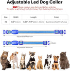 Flashseen LED Cat Collar,Light Up Dog Collar Rechargeable, Dog Lights for Night Walking, Comfortable Soft Mesh Pet Collar Adjustable for Cats Puppy and Small Dogs(Blue, XS)