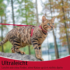 PUPTECK Adjustable Cat Harness and Leash Set Escape Proof Kitten Strap Collar for Walking Travel, Red, M