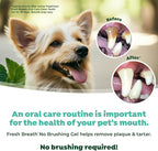 TropiClean Fresh Breath Dog Toothpaste for Teeth Cleaning, Breath Freshener, Easy Plaque & Tartar Remover Gel, No Toothbrush Needed, Peanut Butter, 4oz.