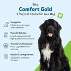 Pet Wellbeing Comfort Gold for Dogs - Supports Canine Physical Comfort, Healthy Circulation, Corydalis, Turmeric - Veterinarian-Formulated Herbal Supplement 4 oz (118 ml)