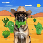 No Stuffing 3 Pack Squeaky Dog Toys- 2 in 1 Interactive Plush Dog Toy- Cactus Shaped Rip and Reveal Toy for Puppies- Perfect for Indoor & Outdoor Play- Training & Toss & Play