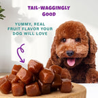 Wildberry Plant-Based Fruit Dog Treats - Strawberry, Apple, Blueberry Soft & Chewy - Vegetarian, Vegan Dog Treats with Organic Ingredients - Low-Protein, Hypoallergenic, Gluten-Free