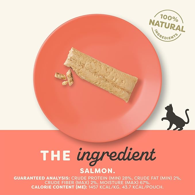 Applaws Natural Cat Treats, Grain-Free, Single Ingredient, Whole Protein Fillet, Healthy Snacks with No Artificial Additives (6 x 1.06oz Whole Salmon Loin)