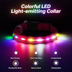 RUXAN Light Up Dog Collar,Dog Lights for Night Walking,LED Collars Waterproof,Glow Dog Collars Rechargeable,Glow in The Dark Dog Collar,Dog Collars Light for Small,Medium,Large Dogs (Small,Pink)