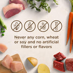 Nutrish Rachael Ray Wet Dog Food Chicken Muttballs, 8 oz. Tub, 8 Count