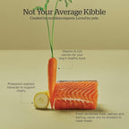 Now Fresh Grain-Free, Dry Dog Food, Real Trout, Salmon and Herring Adult Recipe, All Breed Size, 22 lb Bag