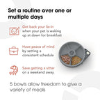 Cat Mate C500 - 5 Meal Digital Automatic Feeder with Ice Packs for Cats and Small Dogs