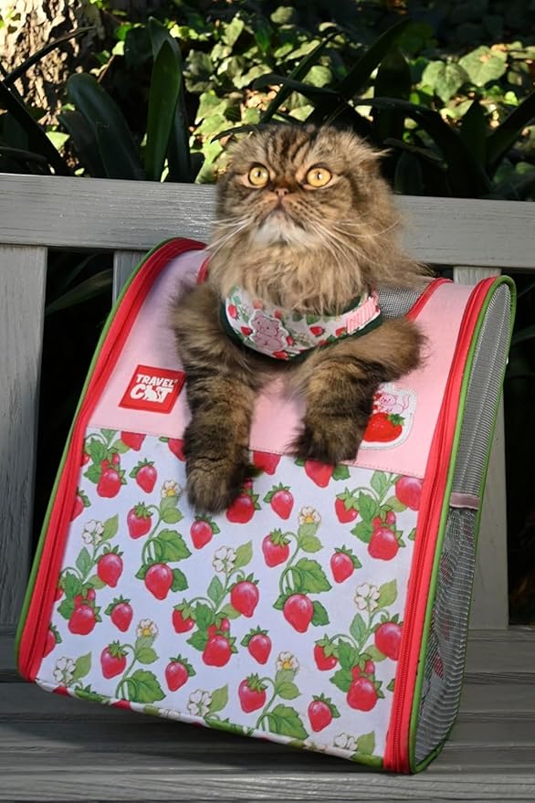 Travel Cat Strawberry Shortcake Harness & Leash Set - Adjustable Fit Mesh Cat Harness with Reflective Strap - Harness for Cats, Kittens for Outdoor (Strawberry Shortcake, X-Small-Kittens Only)