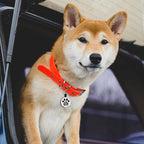 MYLUCKYTAG QR Code Silicone Pet ID Tag Dog Cat Tag, Online Pet Profile, Pet Location Alert Email, Digital Pet Tag, Quiet Dog Tag, Durable Pet ID, Dog Collar Tag, Engraved Pet Tag