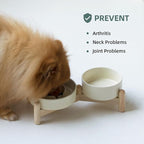 Ceramic Raised Slow Feeder Dog Bowl Set, Elevated 5.1inch Water Bowl and 6.1inch Puzzle Slow Pet Food Dish with Wooden Stand for Small Dog and Cat, Anti-Gulping (2X Beige+ Stand)