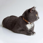 Leather Cat Collar with Buckle and Removable Bell - Non Breakaway Adjustable Soft Safety Small Pet Collars for Girl Boy Cats Kitten (Brown)