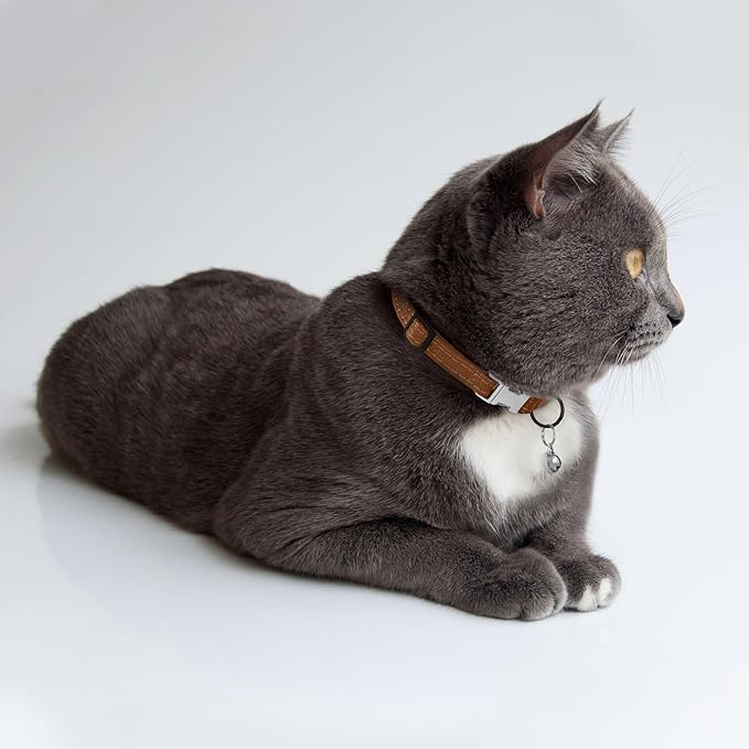 Leather Cat Collar with Buckle and Removable Bell - Non Breakaway Adjustable Soft Safety Small Pet Collars for Girl Boy Cats Kitten (Brown)