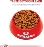 Royal Canin Jack Russell Terrier Adult Dry Dog Food, 10 lb bag