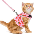 PUPTECK Soft Mesh Cat Vest Harness and Leash Set Puppy Padded Pet Harnesses Escape Proof for Cats Small Dogs Rabbits Bunny