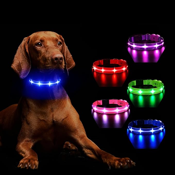 MASBRILL Light Up Dog Collar - RGB LED, Rechargeable, Water-Resistant Glow Up Night Walking Collar for Small to Large Dogs