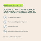 Wuffes Advanced Dog Hip and Joint Supplement with Glucosamine, Chondroitin, Omega 3, MSM, and Green Lipped Mussel, 120 Pork Flavored Chews for Small Dog Breeds