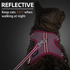 PUPTECK Cat Harness and Leash Set Escape Proof, Reflective Adjustable Soft Mesh Kitten Vest Harness for Walking Travel, Pink, S