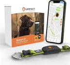 Weenect Dog XT - New GPS Collar for Dogs | XL Antenna | Waterproof | Ultra-Durable Integrated Julius-K9 Collar | Subscription Required
