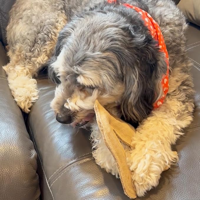 SPOT Dura-Fused Leather Fox Dog Toy – Real Leather & Jute Fabric, Double-Stitched & Durable, Squeaky Interactive Chew Toy for Moderate Chewers, Small & Medium Dogs, Soft Stuffed Fetch Toy, 7.5in