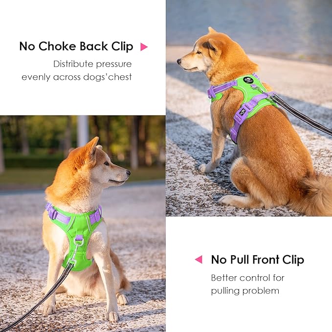PHOEPET No Pull Dog Harness, Unique Colors Reflective Adjustable Dog Vest, with Soft Training Handle Metal Clips for Small Medium Large Dogs (Green Base & Purple Straps,XL)